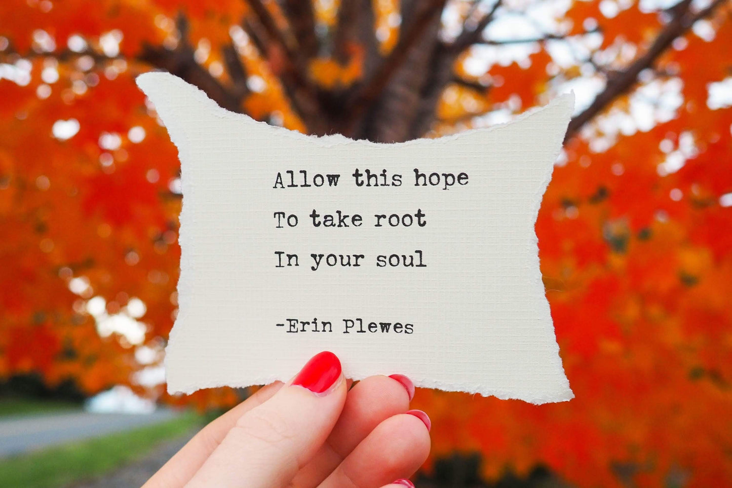 "Allow This Hope" Encouraging Words Artwork | Nature Gift Home Decor