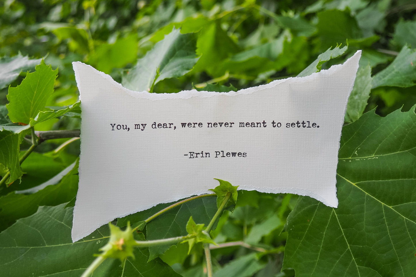 "Never Meant To Settle" Inspirational Words Nature Art | Home Decor
