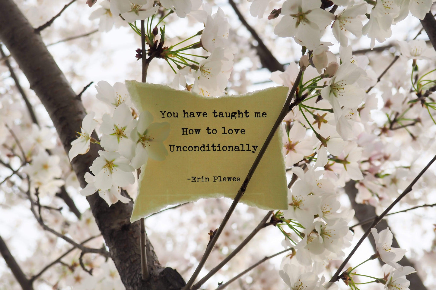 "Unconditional Love" Cherry Blossom Print | Nature Gift Home Decor