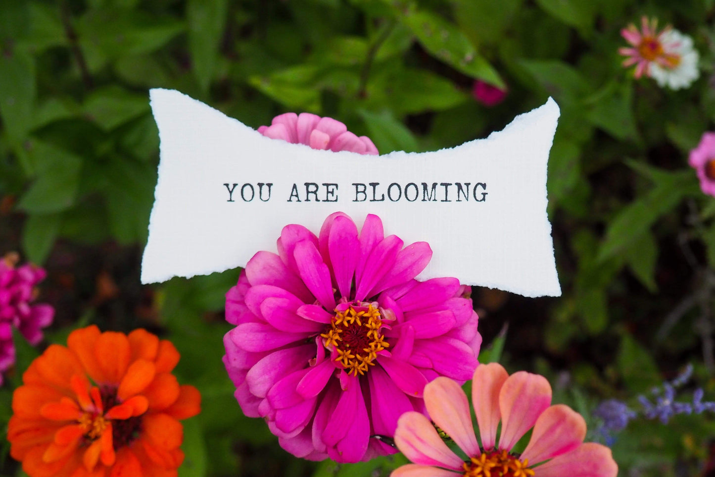 "You Are Blooming" Pink Orange Flowers Affirmation Art | Nature Gift