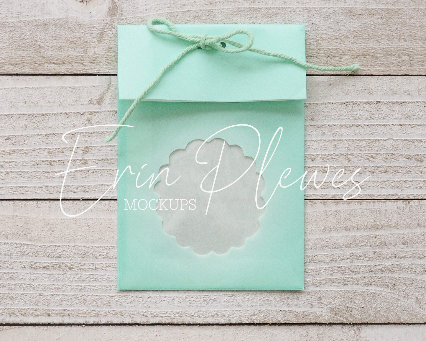 Erin Plewes Mockups Bag Mockup, Green Wedding Favor Mock Up, Candy Bag Mock-up Stock Photo, Jpeg Instant Digital Download Template
