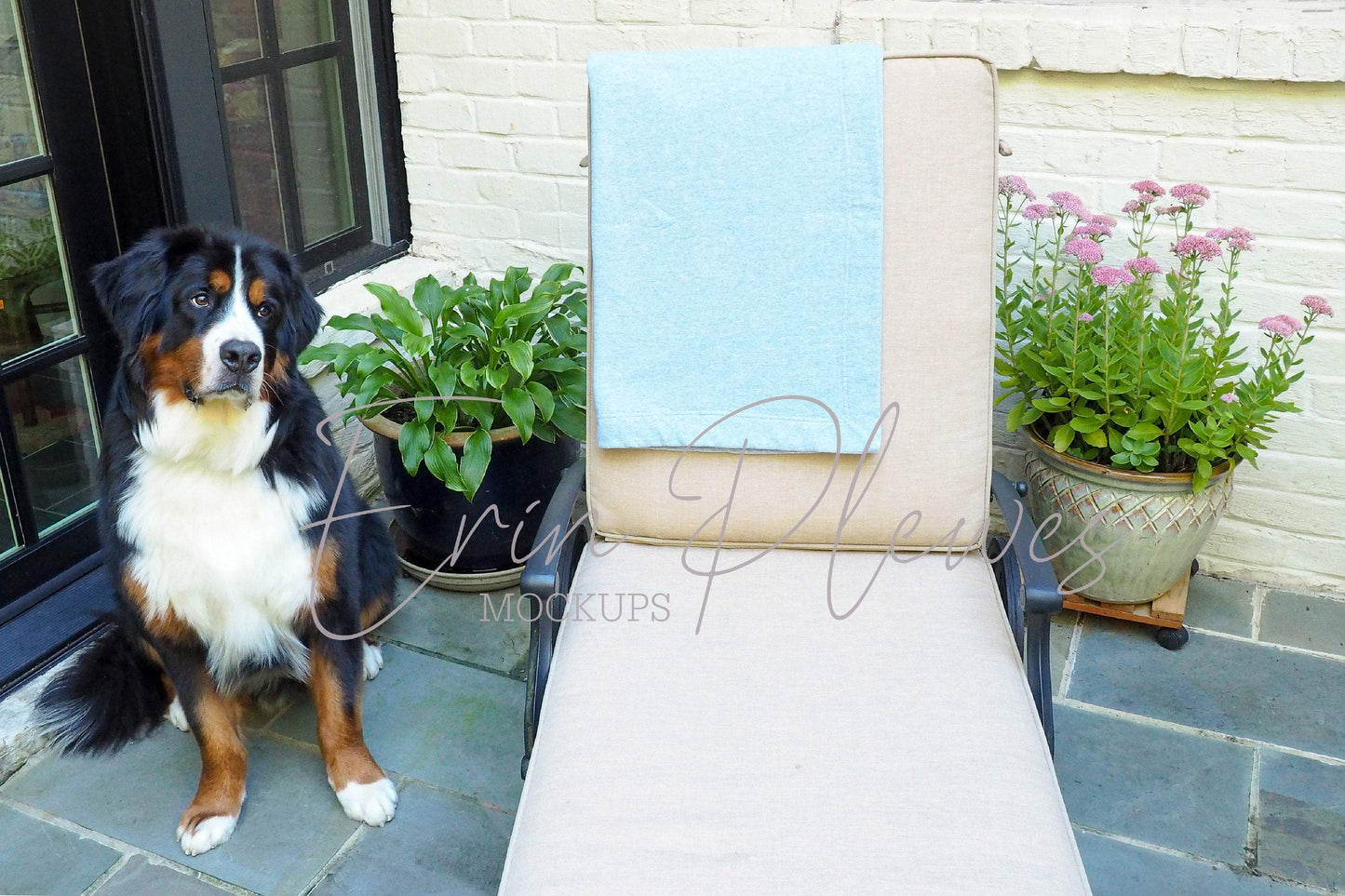 Erin Plewes Mockups Blanket Mock Up, Fleece Blanket Mockup with Dog, Gray Sweatshirt Blanket Mock-up, Gildan Stadium Blanket Stock Photo