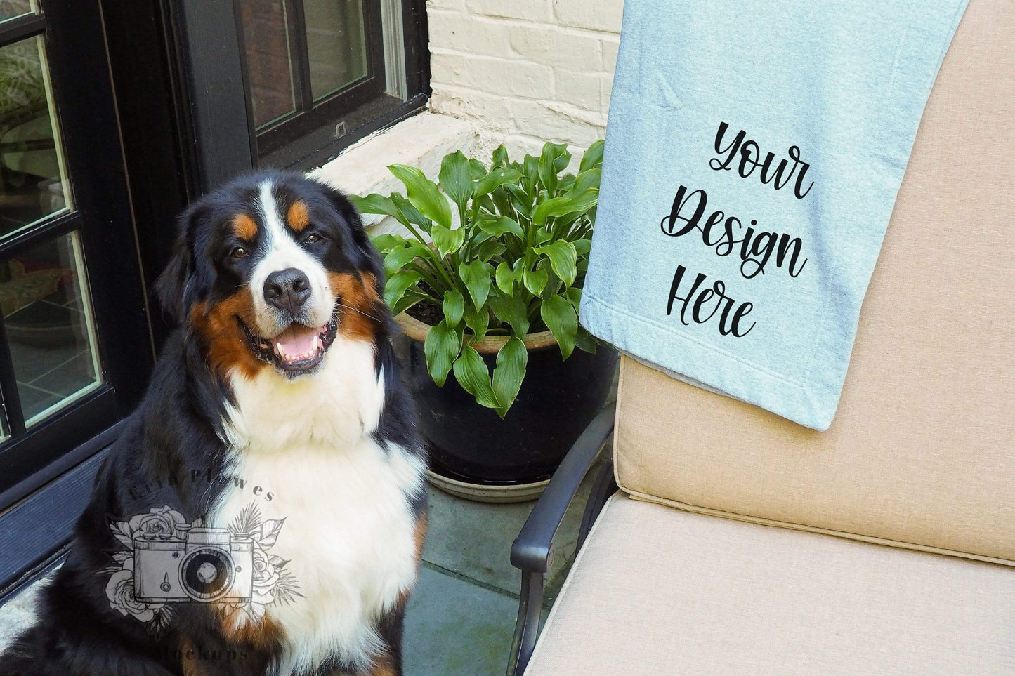 Erin Plewes Mockups Blanket Mockup, Gildan Fleece Blanket Mock Up with Dog for Lifestyle Stock Photo, Stadium Blanket Mock-up Jpeg