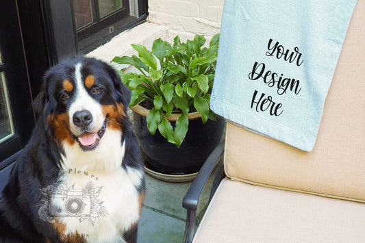 Erin Plewes Mockups Blanket Mockup, Gildan Stadium Blanket Mock Up with Dog, Blanket Lifestyle Stock Photograph, Sweatshirt Blanket Mock-up Template