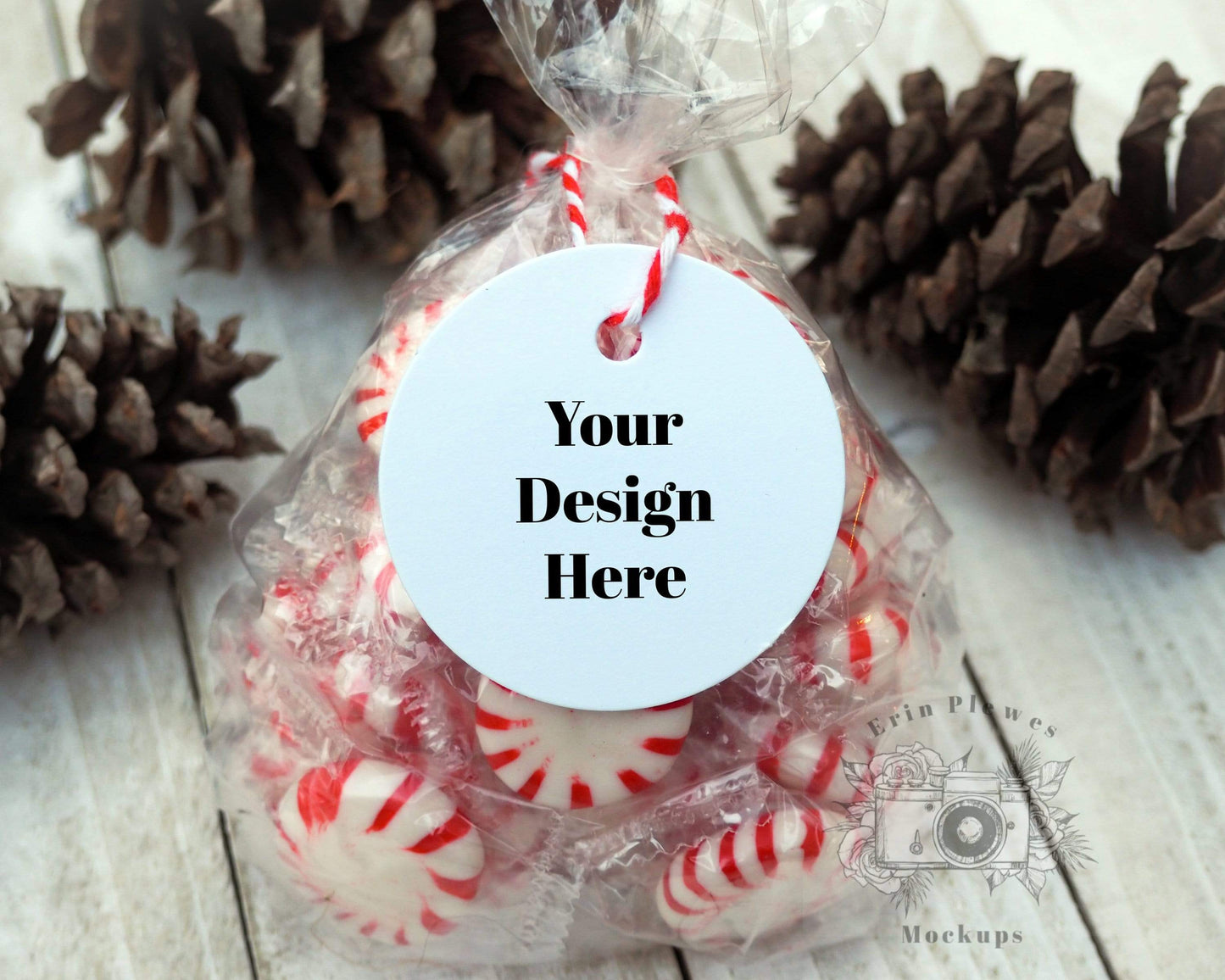 Erin Plewes Mockups Christmas gift tag mockup, Gift bag mock-up for party favor template stock photo, Jpeg instant Digital Download