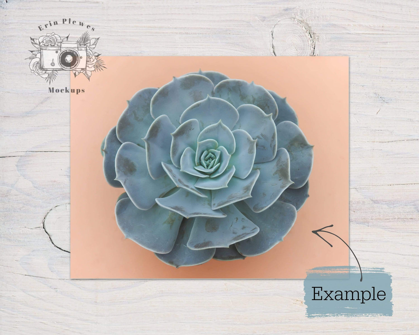Erin Plewes Mockups Poster Mockup, 8x10 Horizontal Print Mock Up on White Farmhouse Rustic Wood, Minimalist Paper Mockup JPG