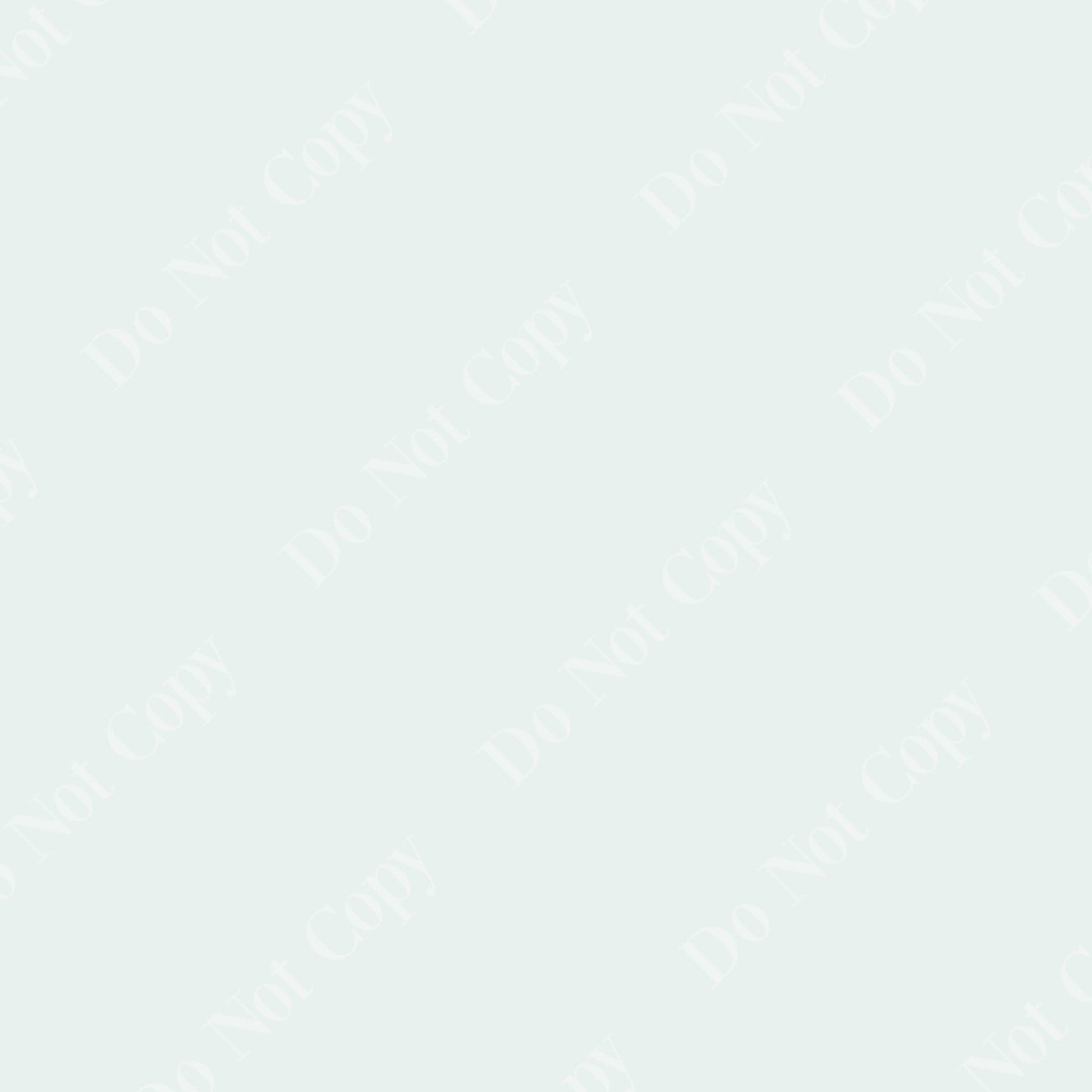 Erin Plewes Mockups Watermark, Do Not Copy Watermark PNG, Watermark to help protect your online photos, Instant Digital Download