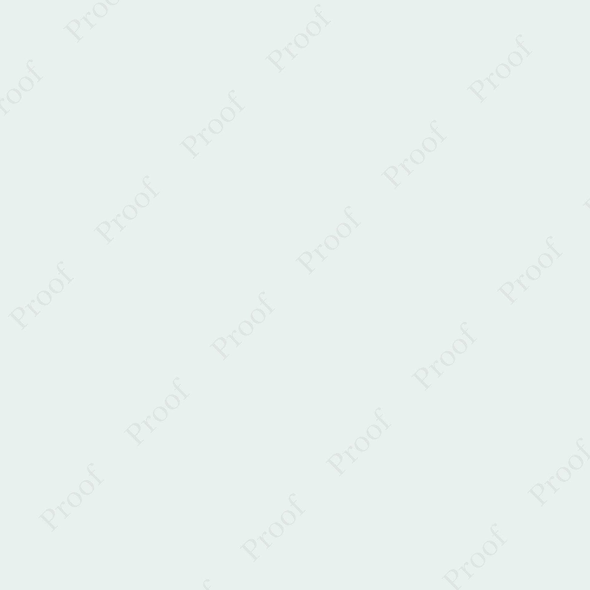 Erin Plewes Mockups Watermark, Proof Watermark PNG, Watermark to help protect your online photos and artwork, Instant Digital Download Template