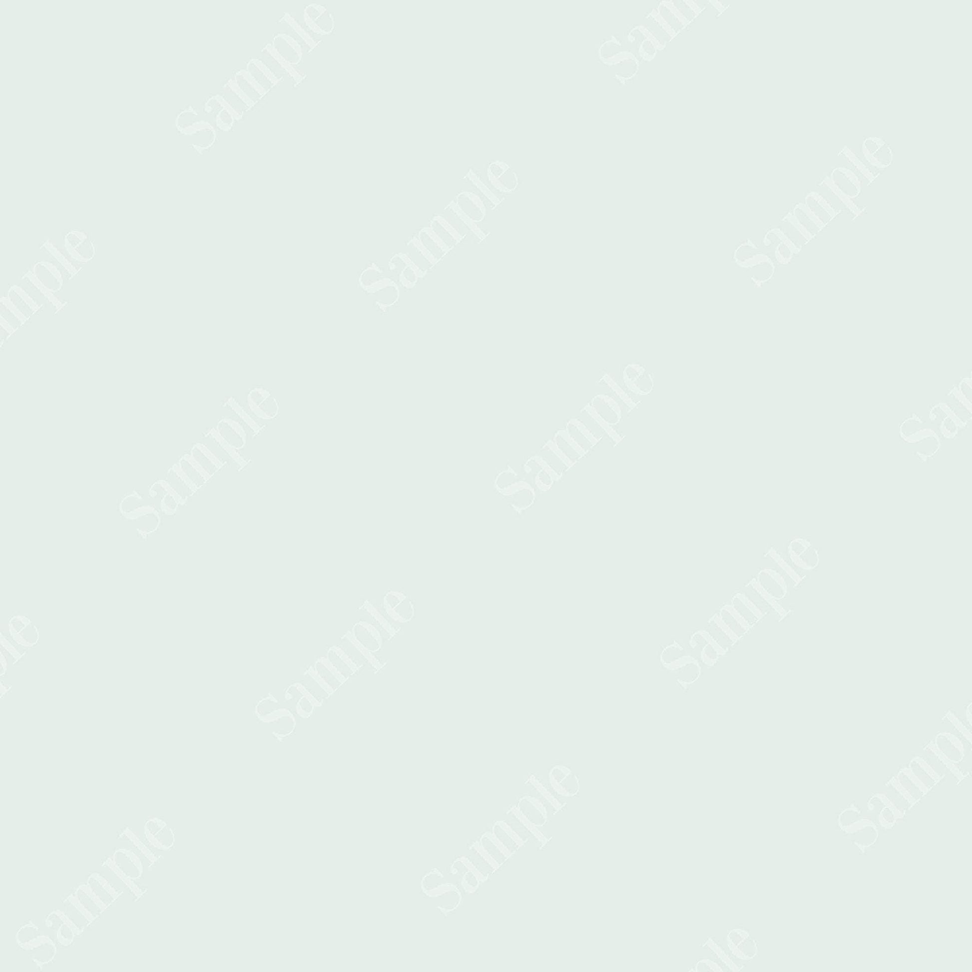 Erin Plewes Mockups Watermark, Sample Watermark PNG, Watermark to help protect your online photos and sample images, Instant Digital Download