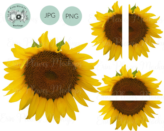 Erin Plewes Mockups Half Sunflower PNG, Top and Bottom Sunflower PNG, Sunflower Bundle for Sublimation, Full Sun Flower Clip Art JPG