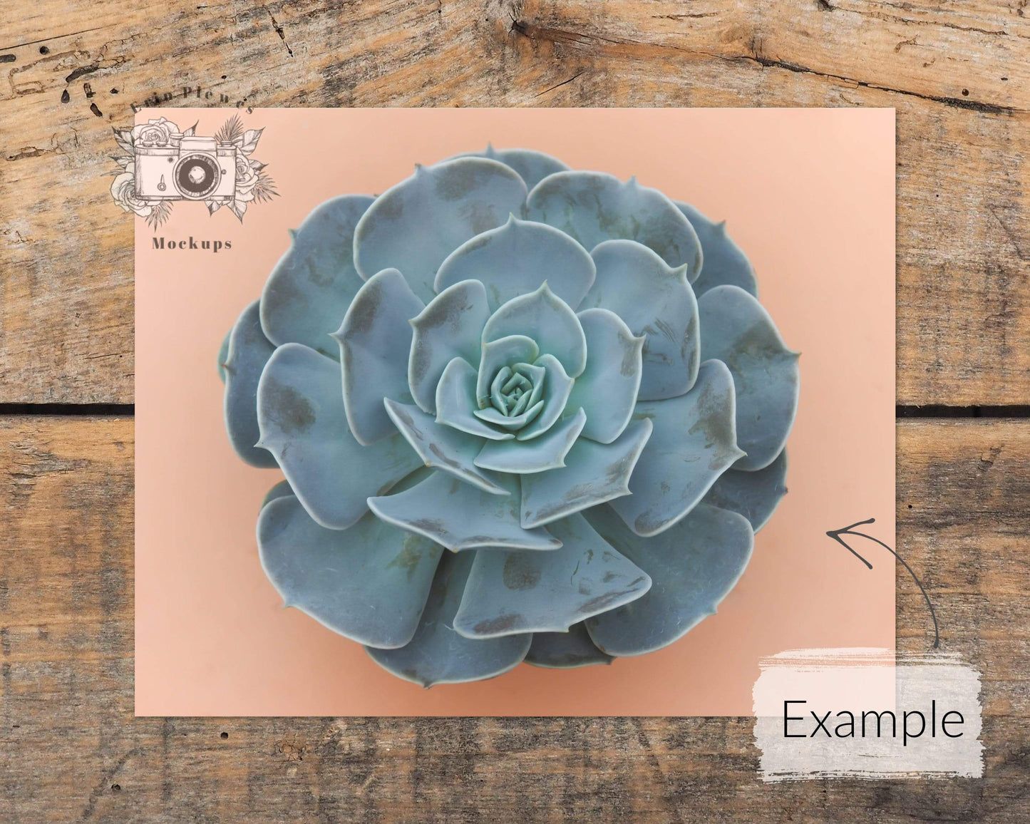 Erin Plewes Mockups Poster Mockup, 8x10 Print mockup on brown rustic wood landscape, Clean minimal mock-up Instant Digital Download JPEG