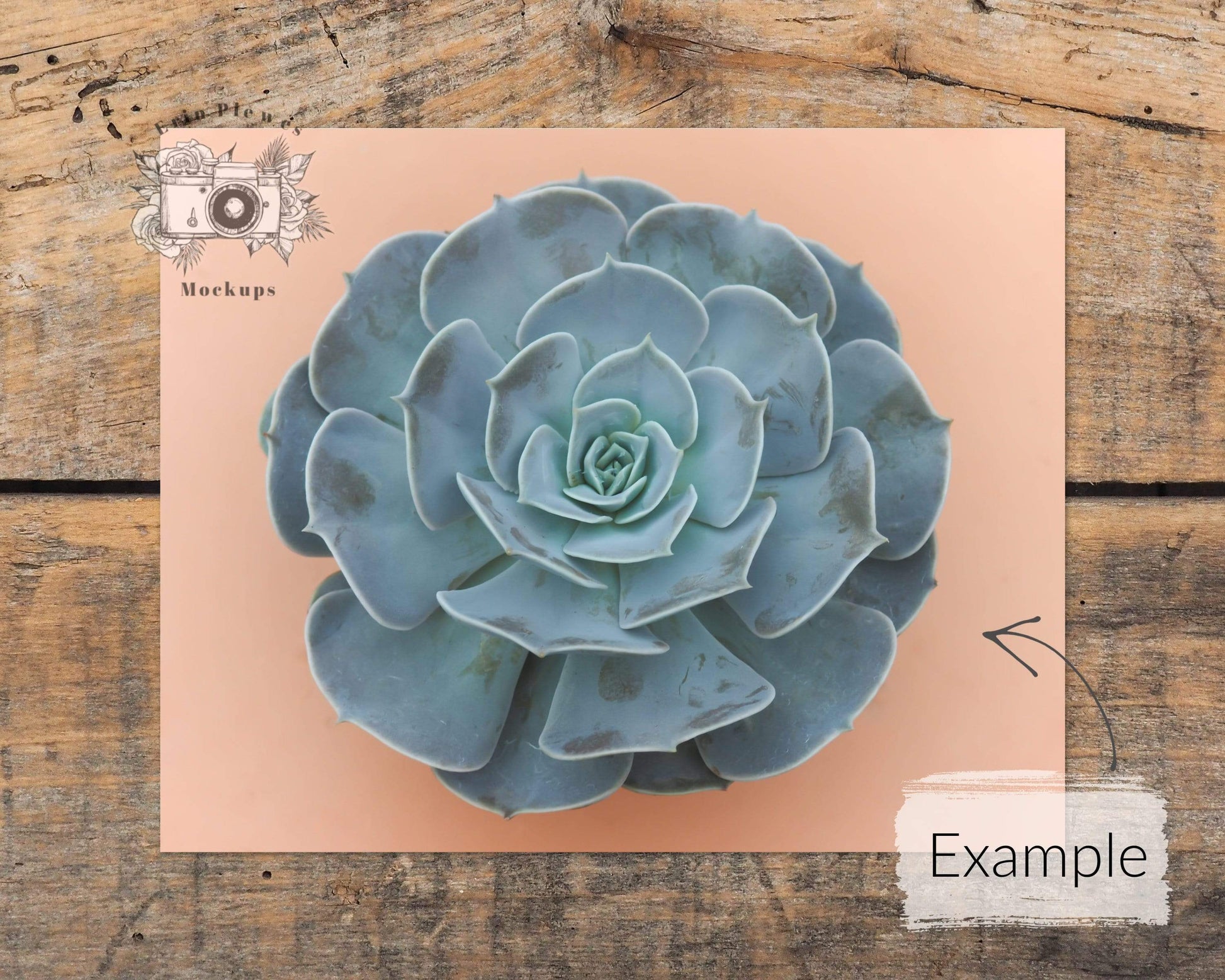 Erin Plewes Mockups Poster Mockup, 8x10 Print mockup on brown rustic wood landscape, Clean minimal mock-up Instant Digital Download JPEG