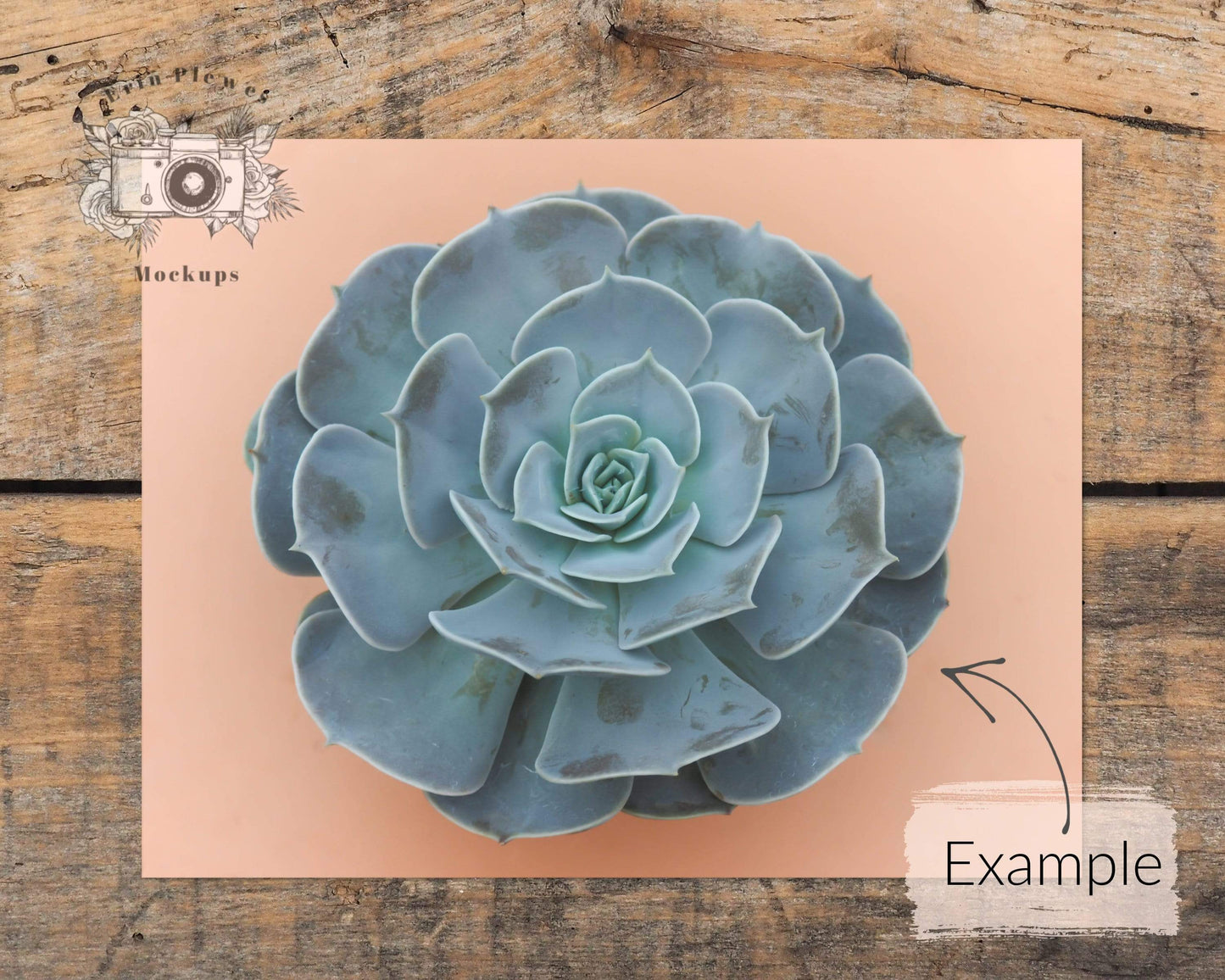 Erin Plewes Mockups Print Mockup 11x14, Poster mock-up on brown rustic farmhouse wood, Minimal paper mock up Jpeg Instant Digital Download