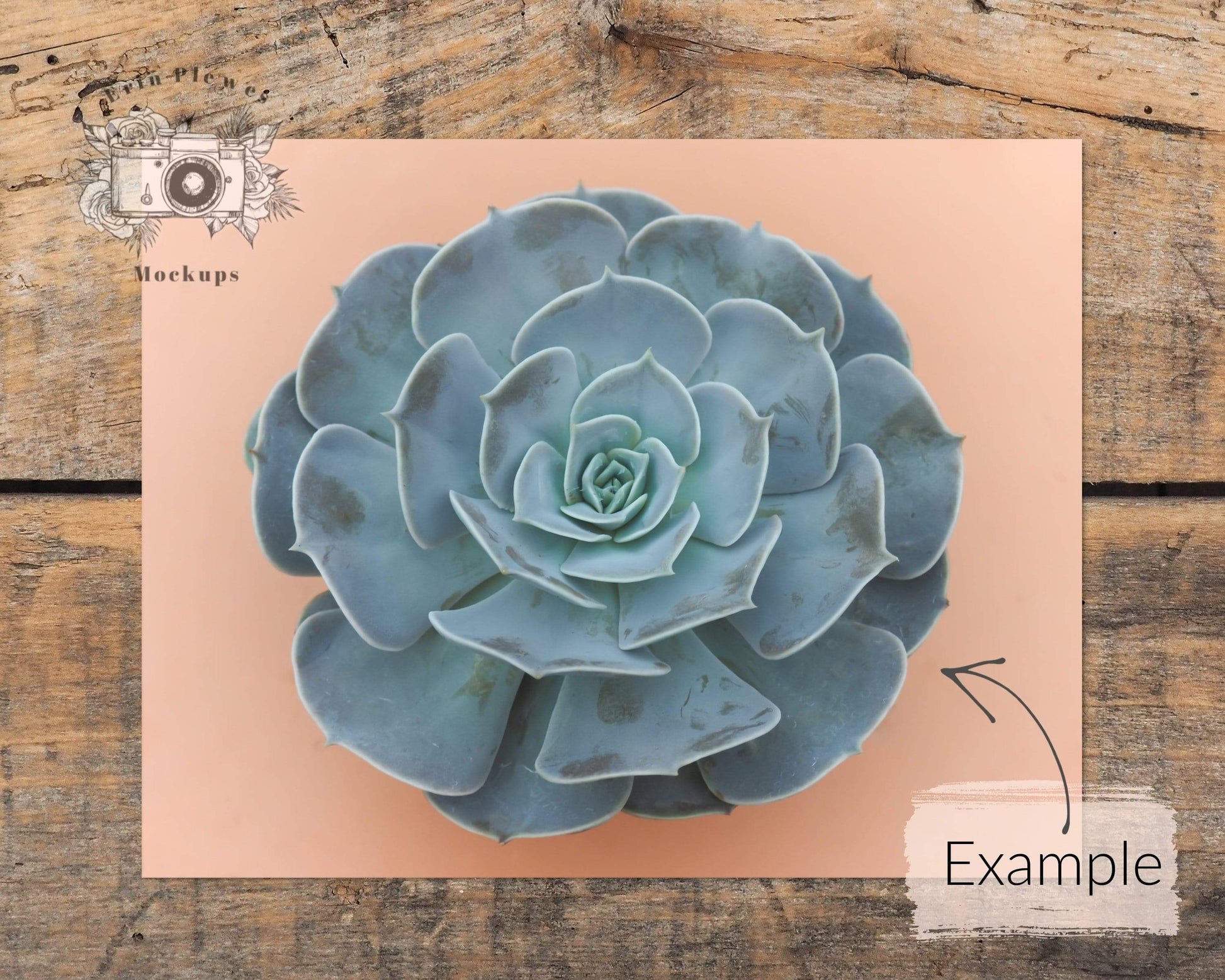 Erin Plewes Mockups Print Mockup 11x14, Poster mock-up on brown rustic farmhouse wood, Minimal paper mock up Jpeg Instant Digital Download