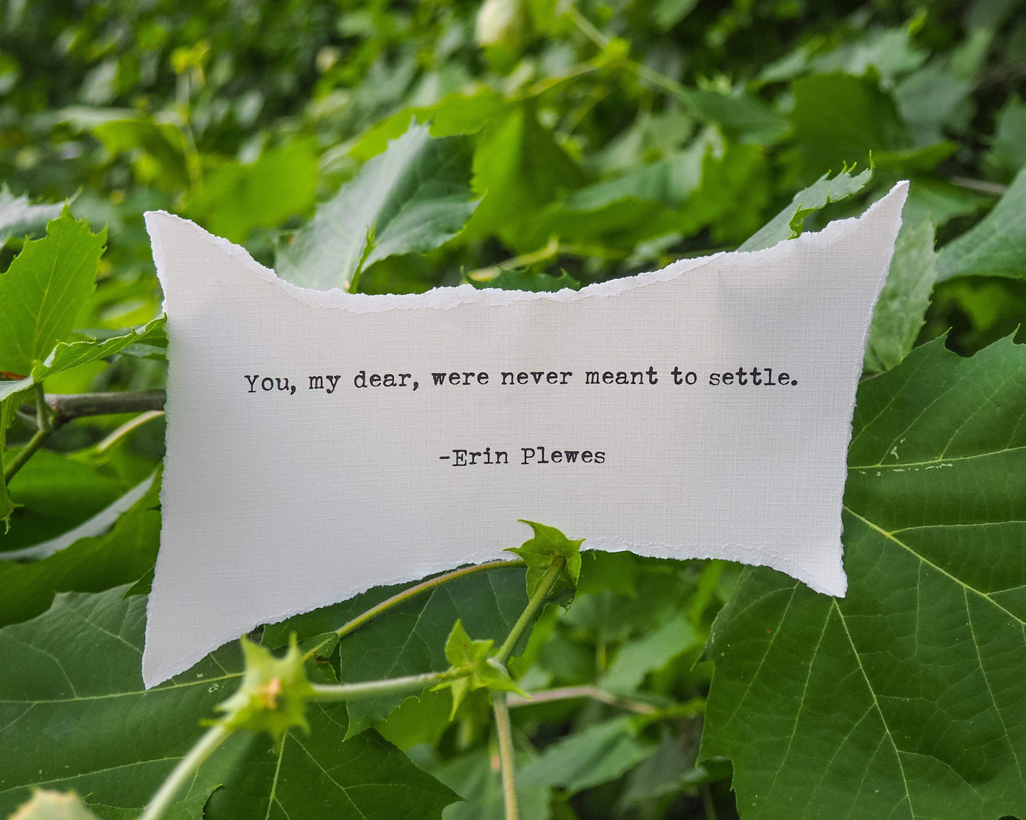 Never Settle Motivational Wall Art | Green Leaves Print | 8x10 Photo