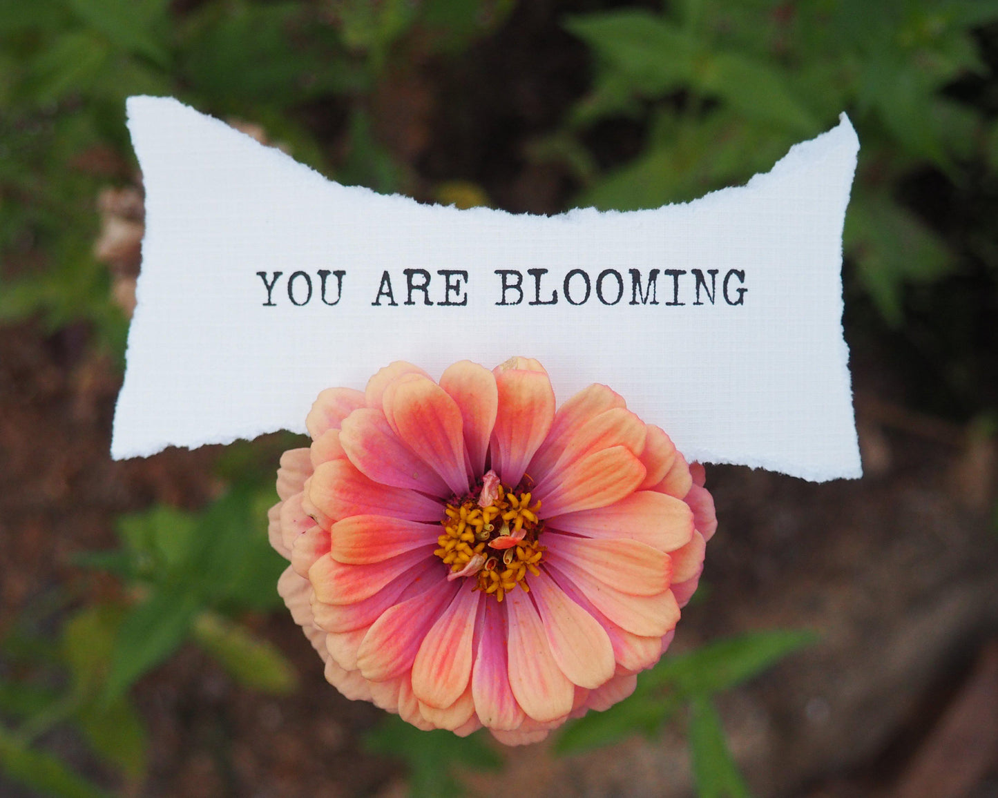 You Are Blooming Inspirational Wall Art | 8x10 Floral Print