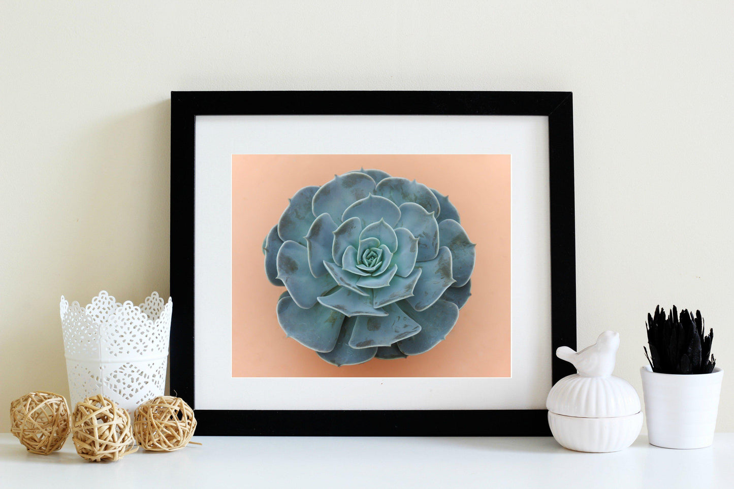 Succulent Prints Wall Art | 8x10 Succulent Decor for Bathroom