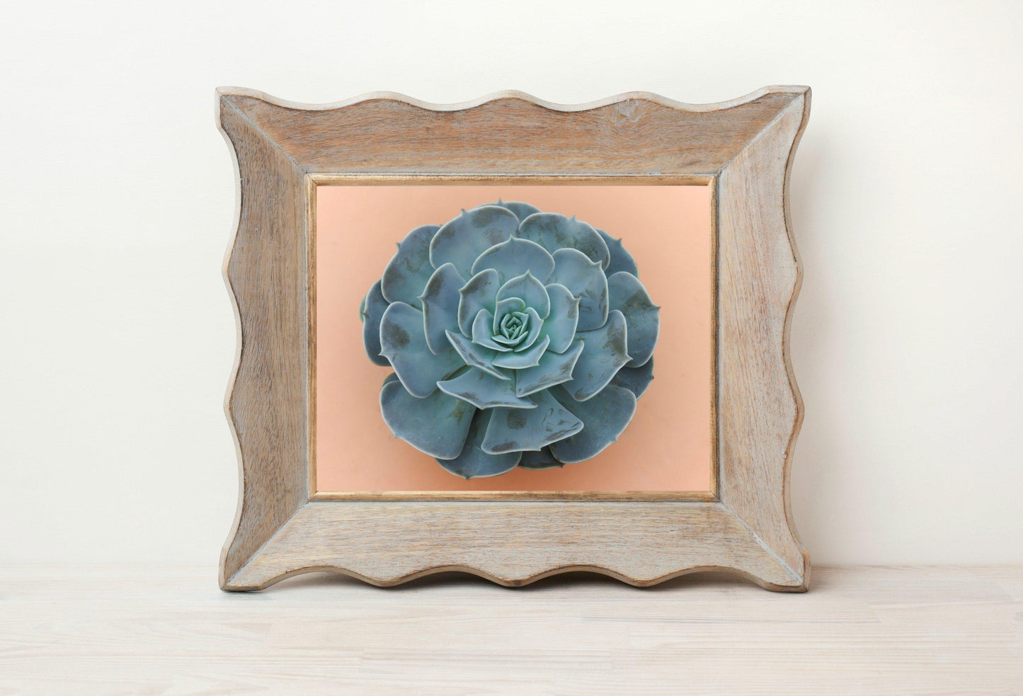 Succulent Prints Wall Art | 8x10 Succulent Decor for Bathroom