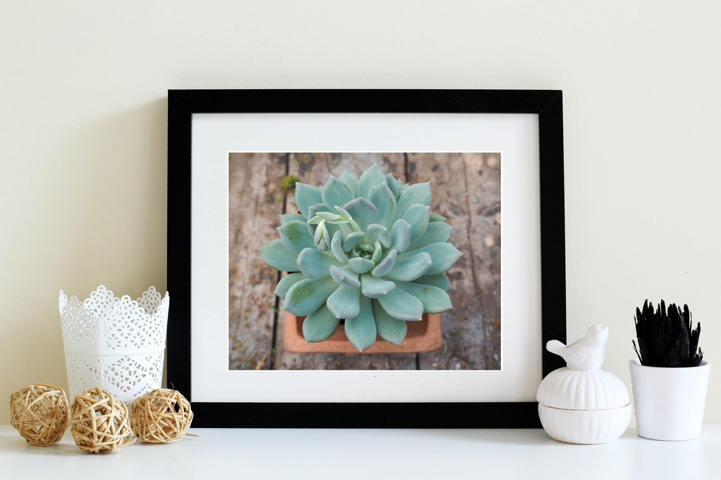 Succulent Wall Art | Bathroom Wall Art Print | 8x10 Photograph