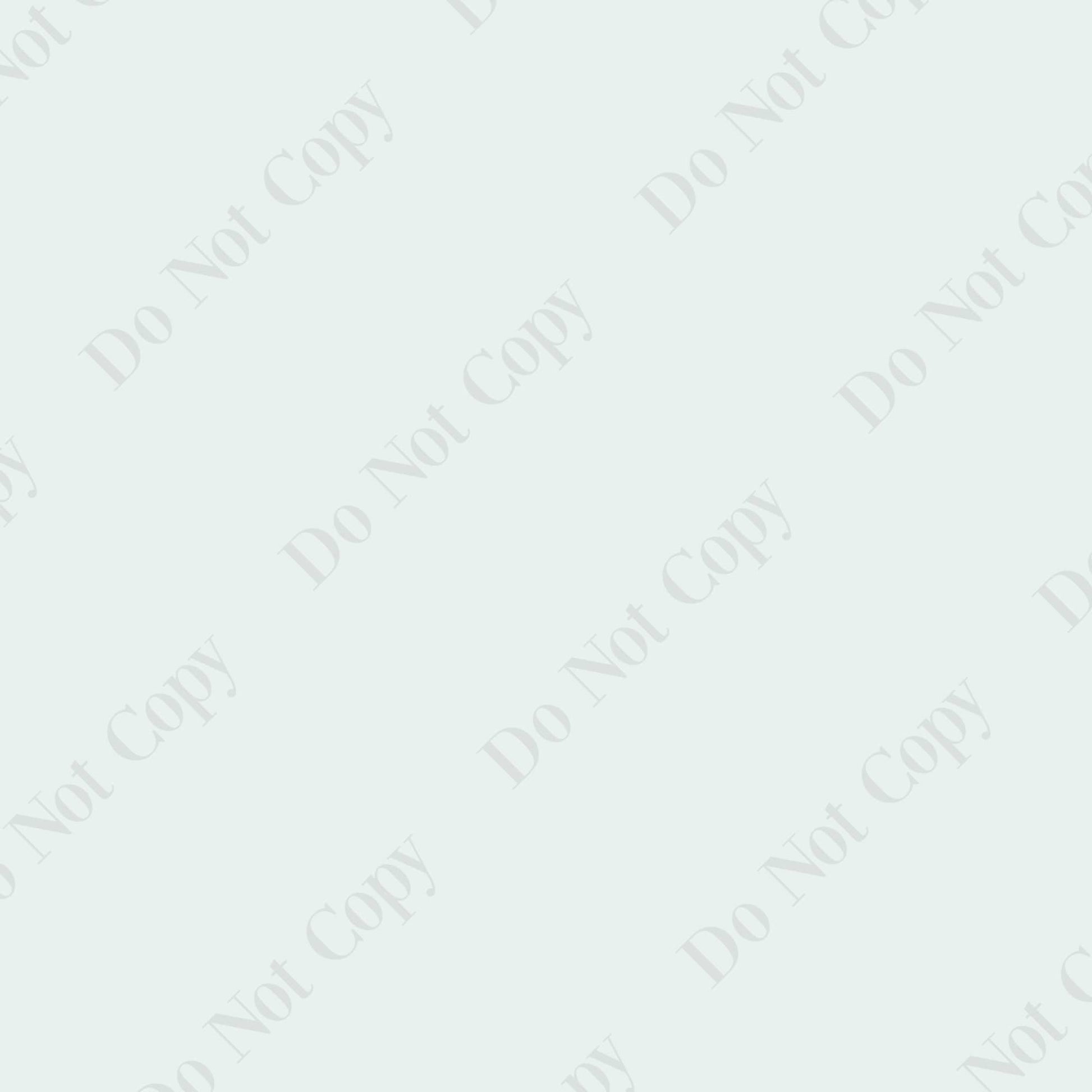 Erin Plewes Mockups Watermark, Do Not Copy Watermark PNG, Watermark to help protect your online photos, Instant Digital Download