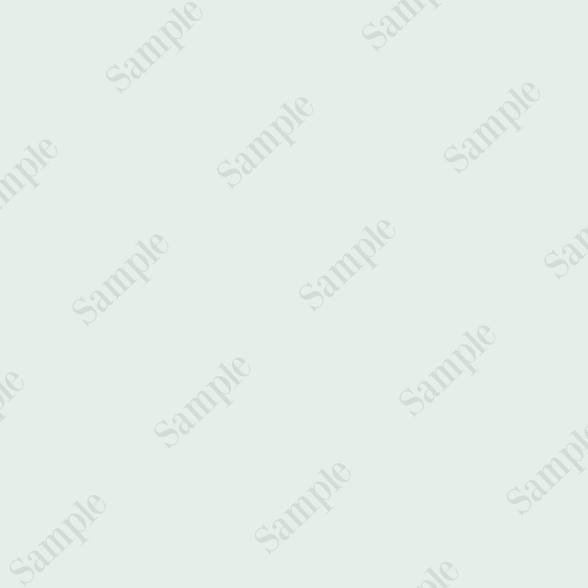 Erin Plewes Mockups Watermark, Sample Watermark PNG, Watermark to help protect your online photos and sample images, Instant Digital Download