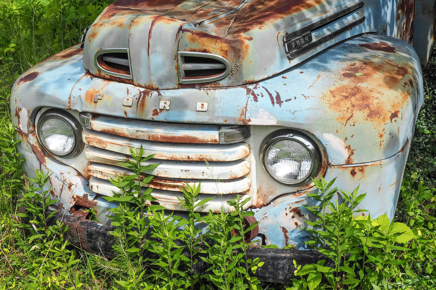 Bright Blue Vintage Ford Truck Photo Nature Art Gift | Home Decor