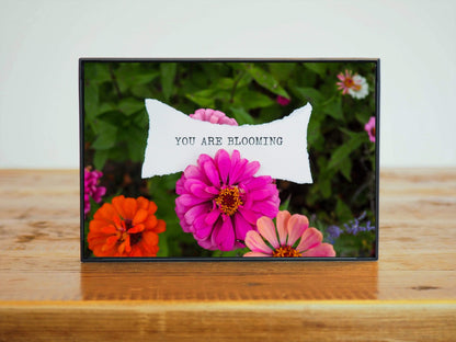 "You Are Blooming" Pink Orange Flowers Affirmation Art | Nature Gift