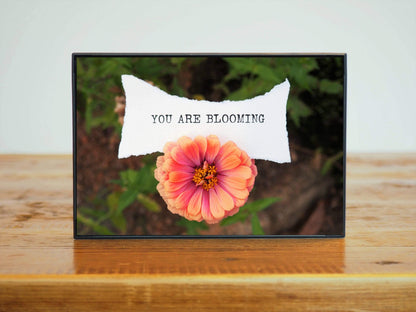 "You Are Blooming" Pink Zinnia Affirmation Photo Artwork | Desk Decor