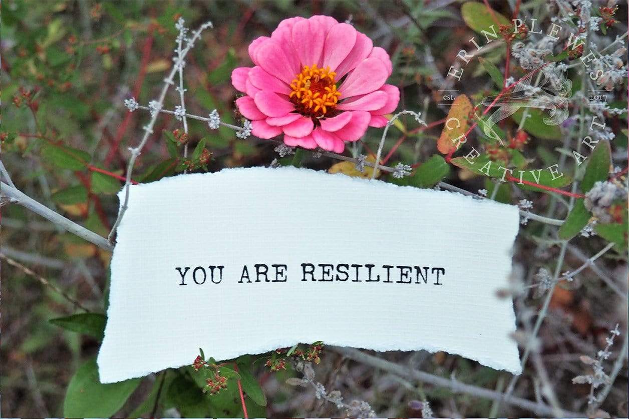 "You Are Resilient" Pink Zinnia Inspirational Artwork | Nature Gift