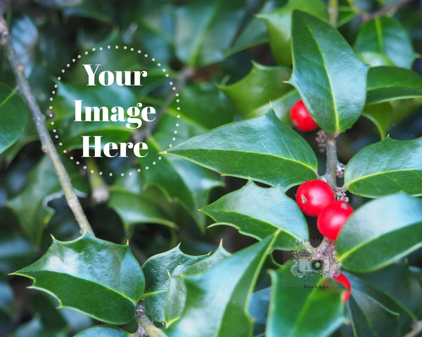Erin Plewes Mockups Christmas stock photography, Winter greenery styled stock photo background for bloggers social media and Instagram, Jpeg Digital Download