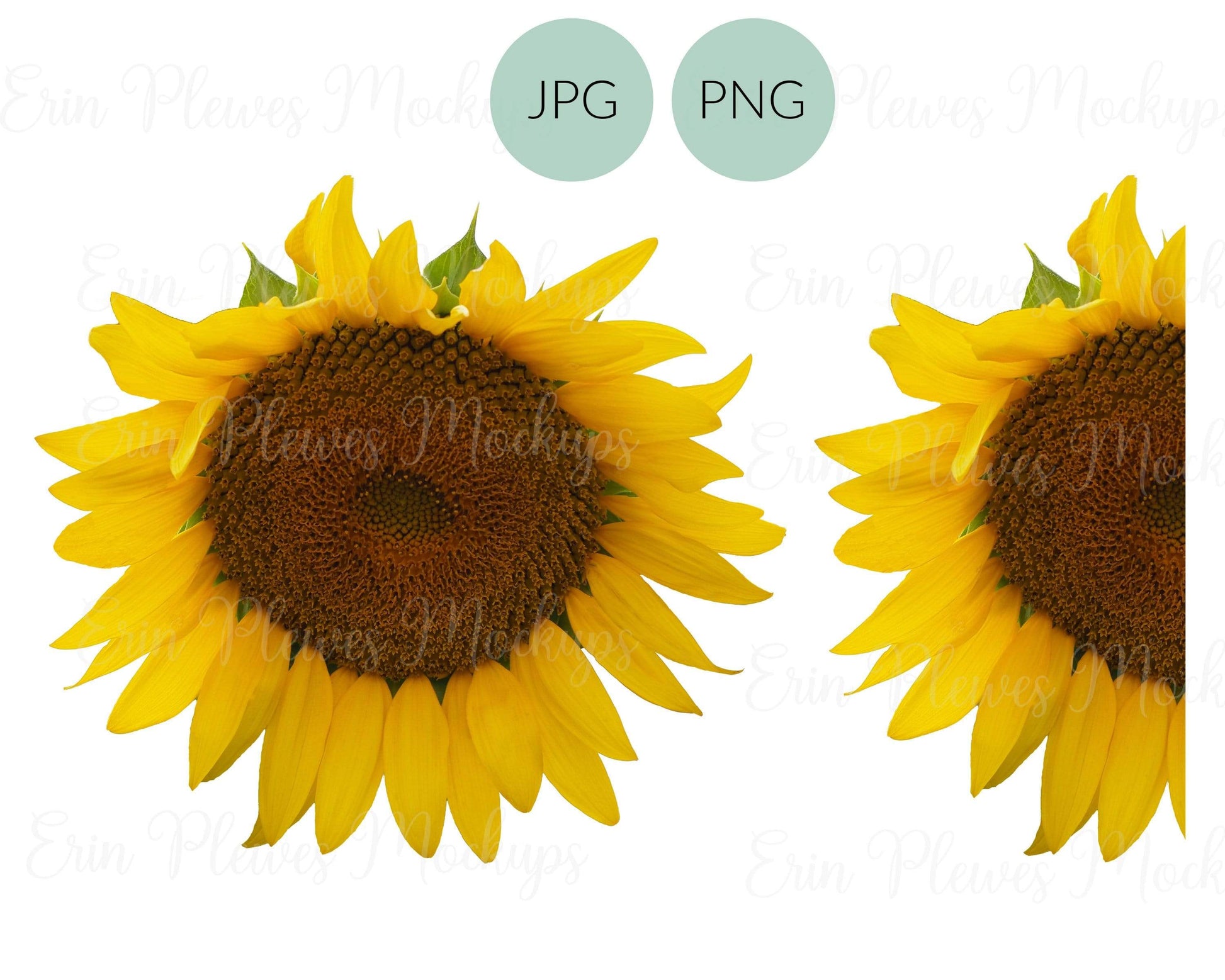 Erin Plewes Mockups Half Sunflower PNG, Whole Sunflower PNG,  Sunflower Bundle for Sublimation and Clear Waterslide, Sun Flower Clip Art JPEG