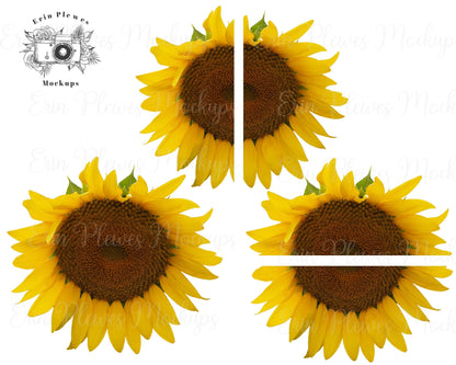 Erin Plewes Mockups Half Sunflower PNG, Top and Bottom Sunflower PNG, Sunflower Bundle for Sublimation, Full Sun Flower Clip Art JPG