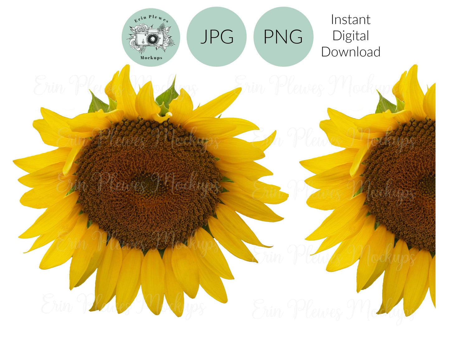 Erin Plewes Mockups Half Sunflower PNG, Whole Sunflower PNG,  Sunflower Bundle for Sublimation and Clear Waterslide, Sun Flower Clip Art JPEG