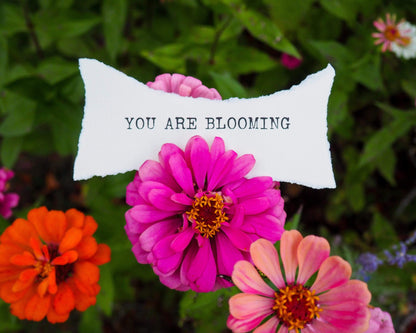 You Are Blooming Floral Wall Art | 8x10 Pink Zinnia Flowers Print